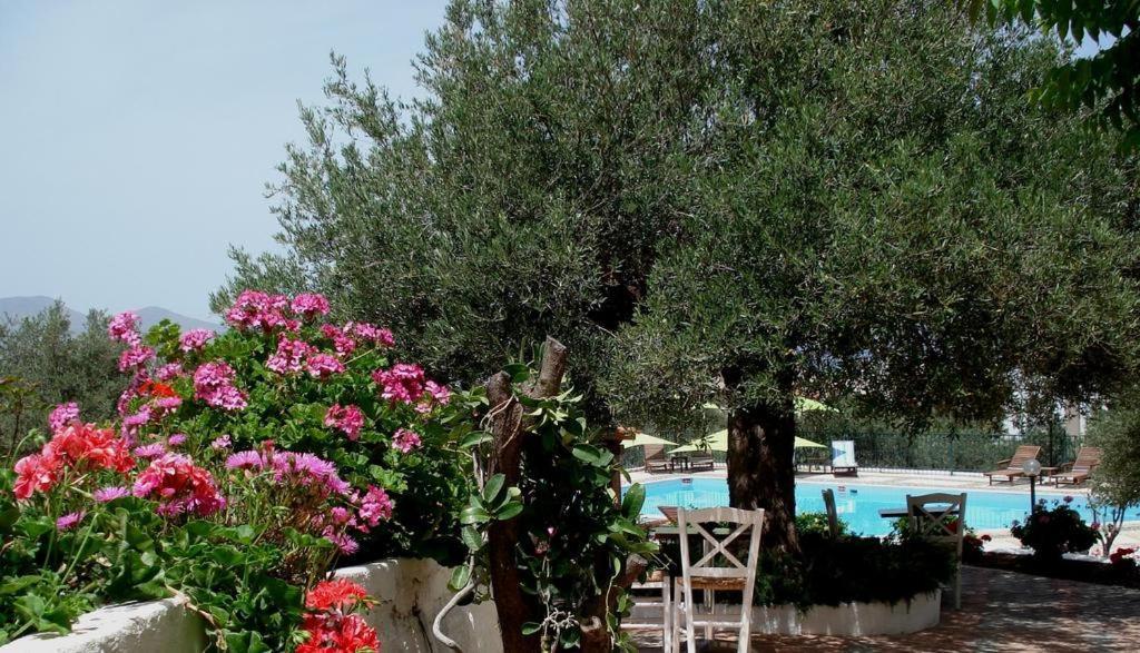 Katerina Charming Place Amoudara  Exterior photo