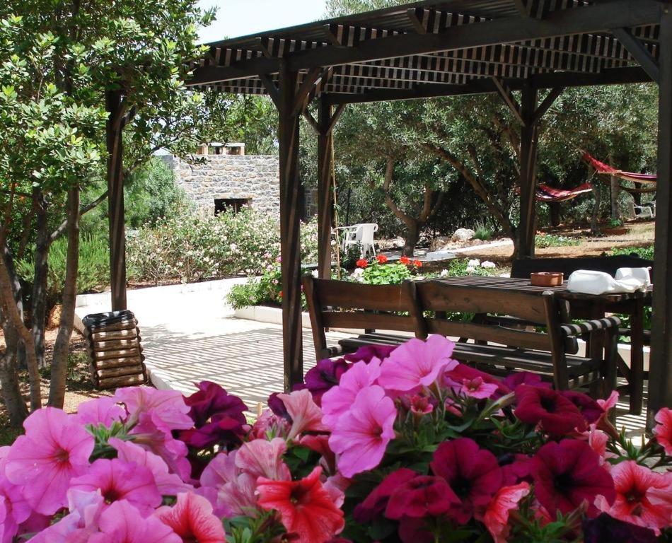 Katerina Charming Place Amoudara  Exterior photo